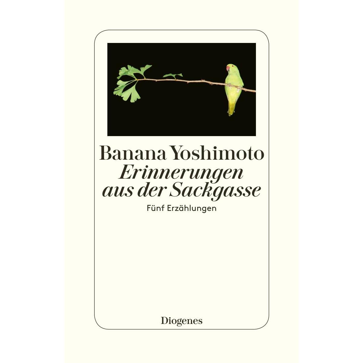 Erinnerungen aus der Sackgasse von Diogenes Verlag AG