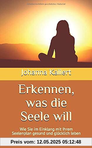 Erkennen, was die Seele will: Wie Sie im Einklang mit Ihrem Seelenplan gesund und glücklich leben