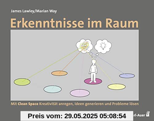Erkenntnisse im Raum: Mit Clean Space Kreativität anregen, Ideen generieren und Probleme lösen (Beratung, Coaching, Supervision)