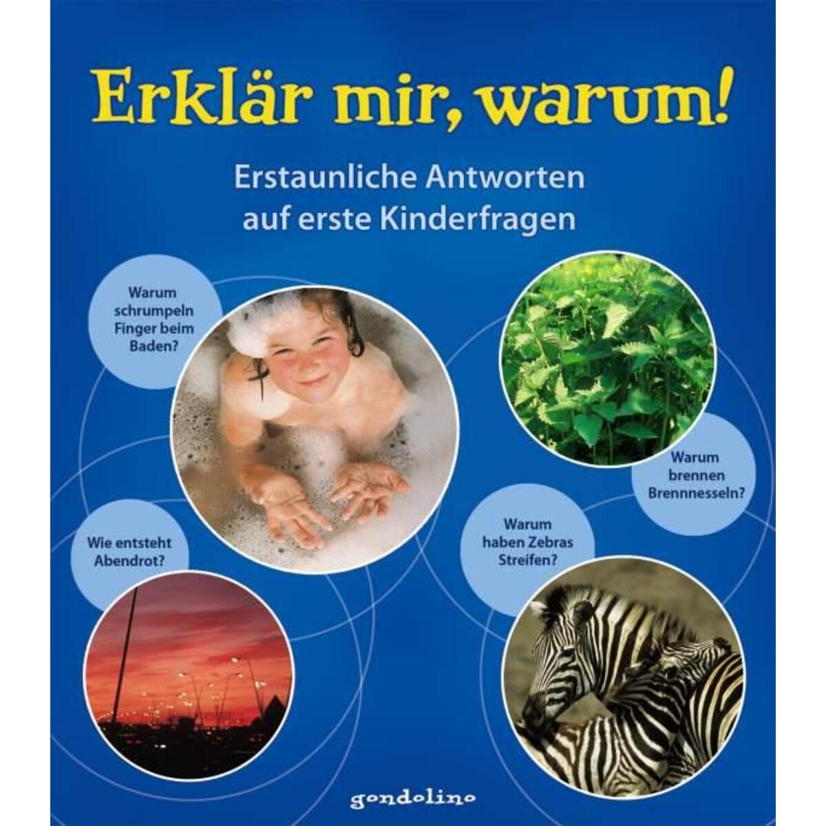 Erklär mir, warum! Erklär mir, warum! von gondolino GmbH