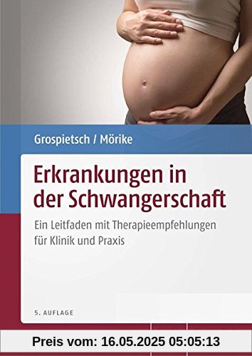 Erkrankungen in der Schwangerschaft: Ein Leitfaden mit Therapieempfehlungen für Klinik und Praxis