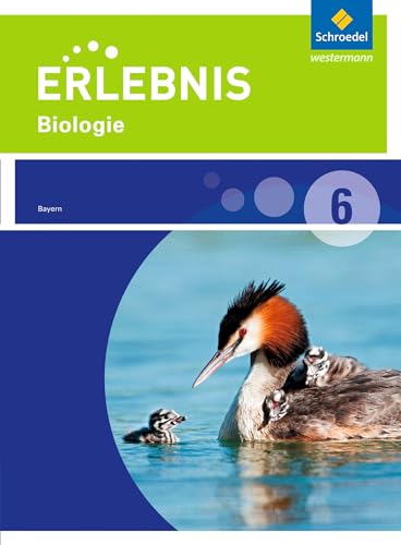 Erlebnis Biologie - Ausgabe 2016 für Realschulen in Bayern: Schülerband 6 von Schroedel Verlag GmbH