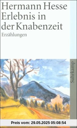 Erlebnis in der Knabenzeit: Sämtliche Erzählungen 1899-1902 (suhrkamp taschenbuch)