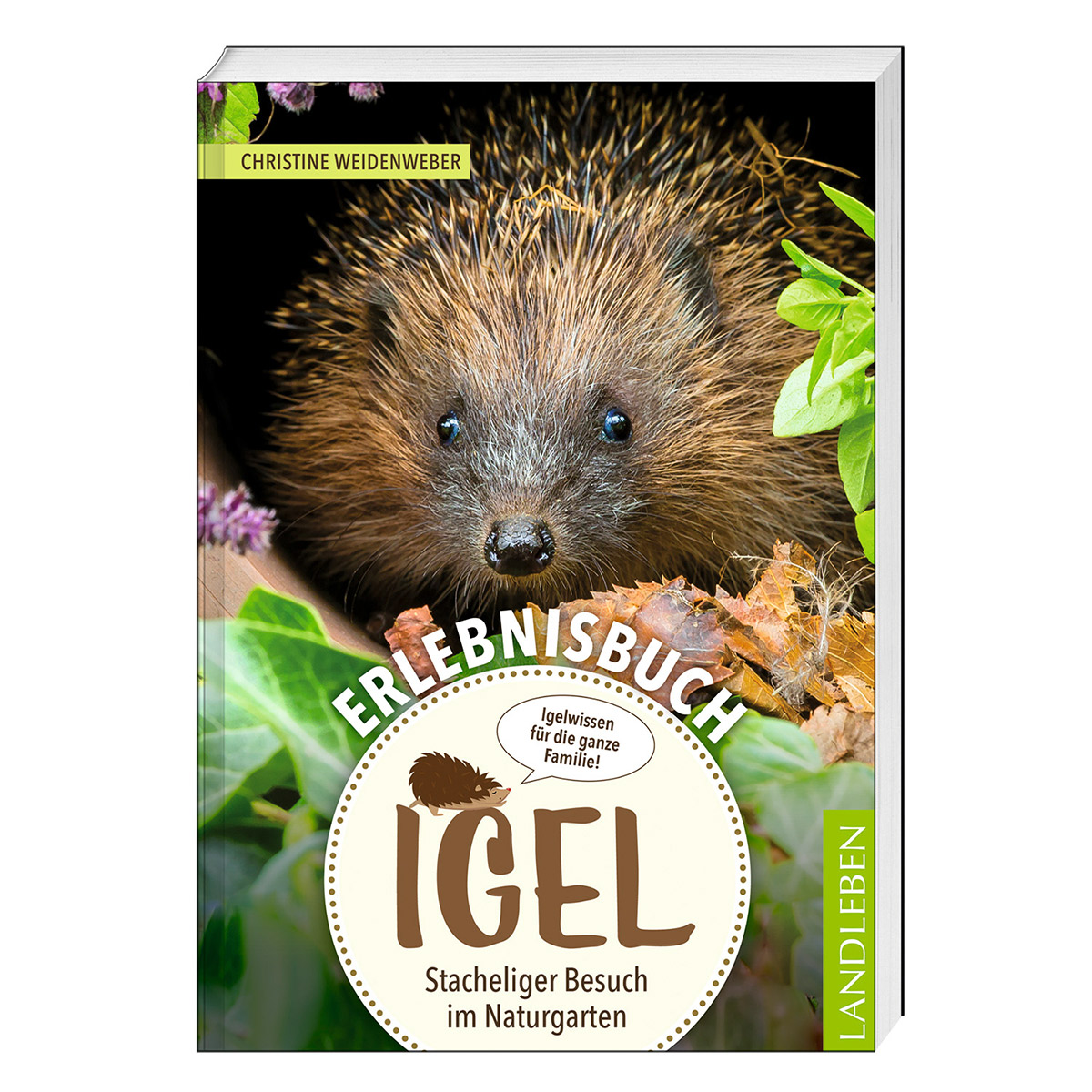 Erlebnisbuch Igel von Cadmos Verlag GmbH