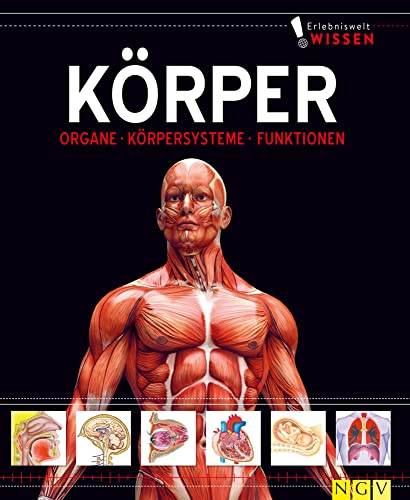 Erlebniswelt Wissen Körper: Organe, Körpersysteme, Funktionen. Ein Sachbuch für Kinder ab 10 Jahren Erlebniswelt Wissen Körper: Organe, Körpersysteme, Funktionen. Ein Sachbuch für Kinder ab 10 Jahren