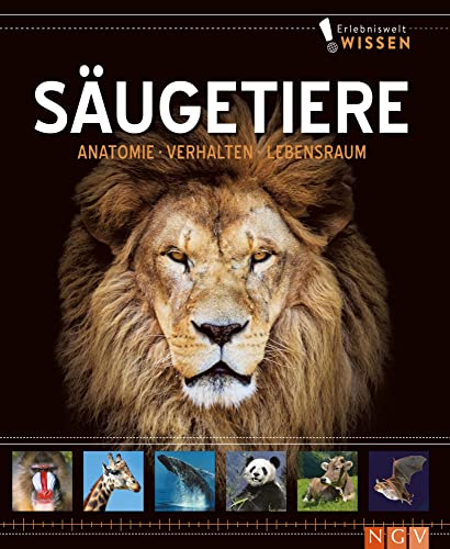 Erlebniswelt Wissen Säugetiere: Anatomie, Verhalten, Lebensräume. Ein Sachbuch für Kinder ab 10 Jahren Erlebniswelt Wissen Säugetiere: Anatomie, Verhalten, Lebensräume. Ein Sachbuch für Kinder ab 10 Jahren