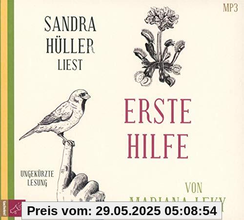 Erste Hilfe
