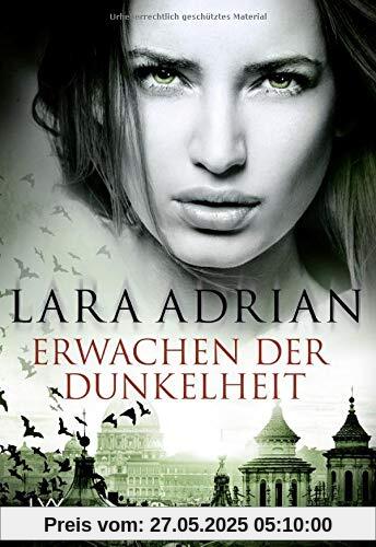 Erwachen der Dunkelheit (Midnight-Breed-Novellas, Band 8)