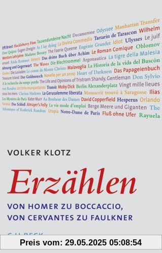 Erzählen: Von Homer zu Boccaccio, von Cervantes zu Faulkner