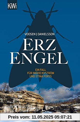 Erzengel: Ein Fall für Ingrid Nyström und Stina Forss (Die Kommissarinnen Nyström und Forss ermitteln, Band 6)