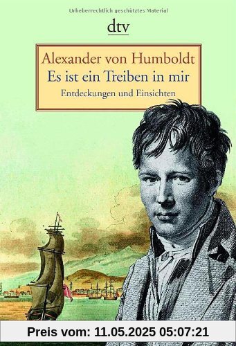 Es ist ein Treiben in mir: Entdeckungen und Einsichten Es ist ein Treiben in mir: Entdeckungen und Einsichten