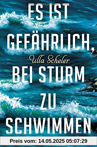 Es ist gefährlich, bei Sturm zu schwimmen: Roman