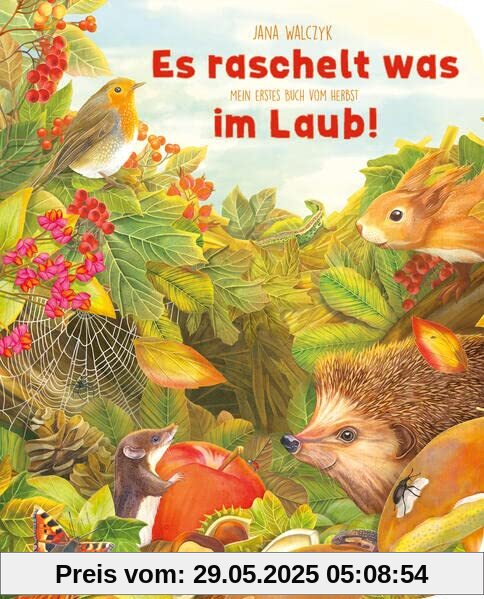 Es raschelt was im Laub: Mein erstes Buch vom Herbst