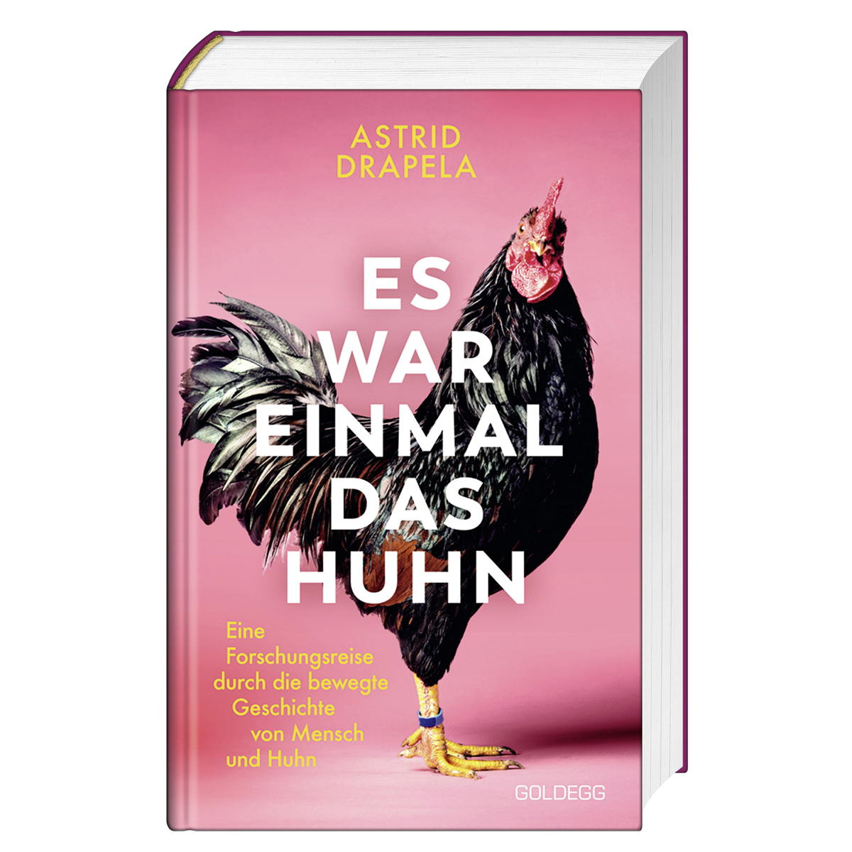 Es war einmal das Huhn Es war einmal das Huhn von Goldegg Verlag GmbH