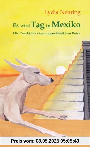 Es wird Tag in Mexiko: Geschichte einer ungewöhnlichen Reise