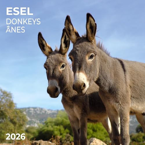 Esel/Donkey 2026: Kalender 2026 (Artwork Edition) von Tushita PaperArt