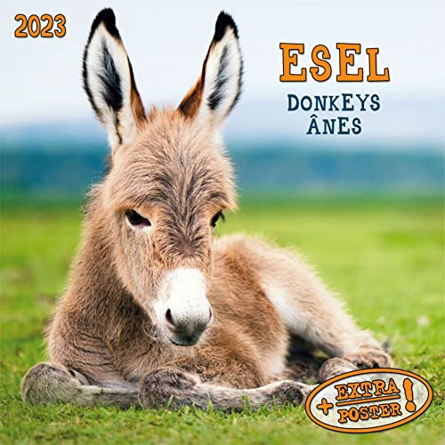 Esel 2023: Kalender 2023 (Artwork Edition) von Tushita