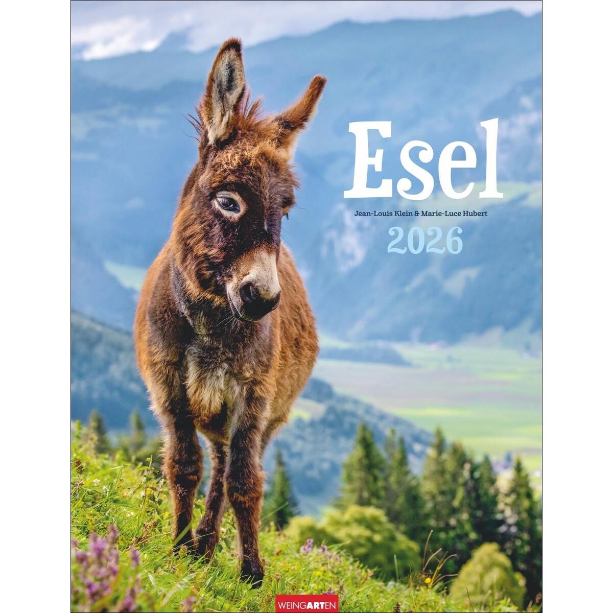 Esel Kalender 2026 Esel Kalender 2026 von Weingarten