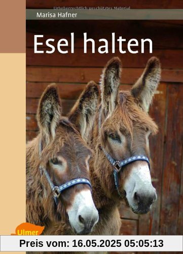 Esel halten