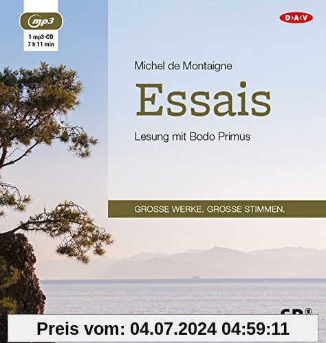 Essais (1 mp3-CD)