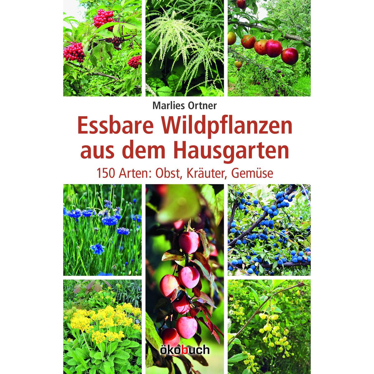 Essbare Wildpflanzen aus dem Hausgarten von Ökobuch Verlag GmbH