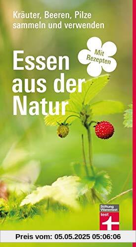 Essen aus der Natur: Kräuter, Beeren, Pilze sammeln und verwenden