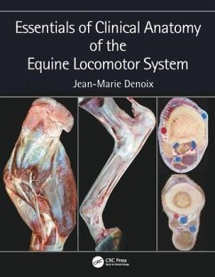 Essentials of Clinical Anatomy of the Equine Locomotor System von Taylor & Francis