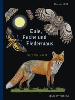 Eule, Fuchs und Fledermaus von Gerstenberg Verlag