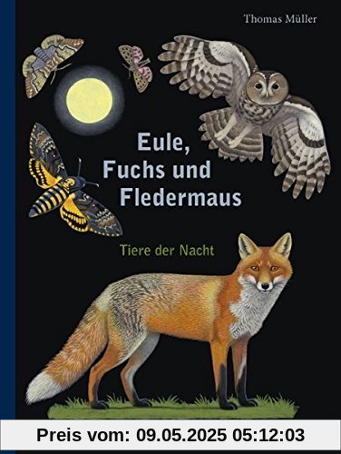 Eule, Fuchs und Fledermaus