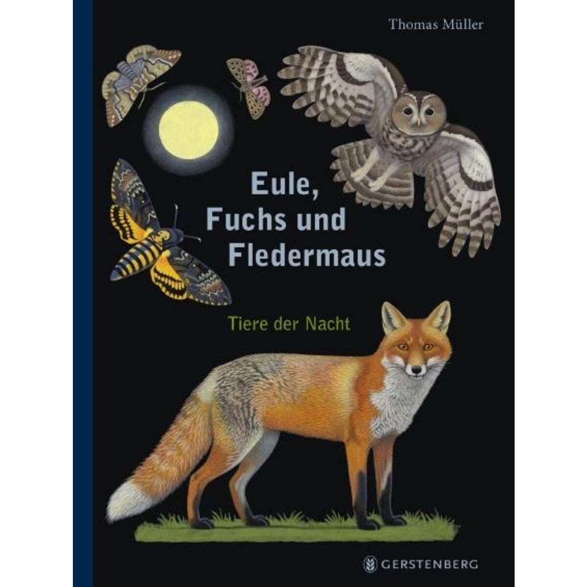 Eule, Fuchs und Fledermaus von Gerstenberg Verlag