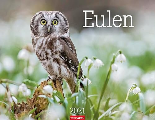Eulen Kalender 2021 von Weingarten