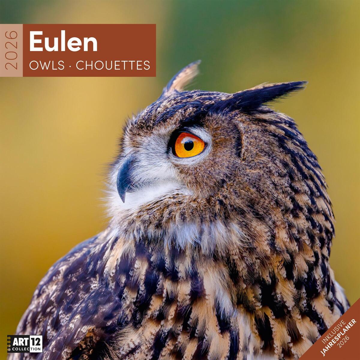 Eulen Kalender 2026 - 30x30 Eulen Kalender 2026 - 30x30 von Ackermann Kunstverlag