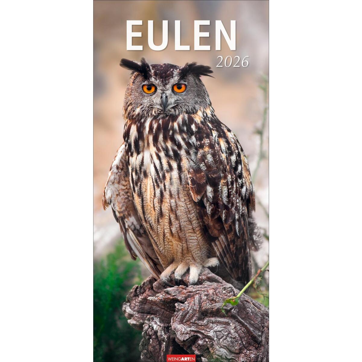 Eulen Kalender 2026 Eulen Kalender 2026 von Weingarten