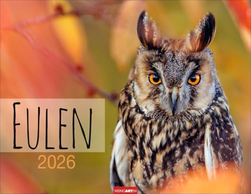 Eulen Kalender 2026: Beeindruckende Aufnahmen der schönen Greifvögel in einem großen Fotokalender. Ein Wand-Kalender für alle Fans der nachtaktiven Vögel. 44x34 cm Querformat (Tierkalender Weingarten) Eulen Kalender 2026: Beeindruckende Aufnahmen der schönen Greifvögel in einem großen Fotokalender. Ein Wand-Kalender für alle Fans der nachtaktiven Vögel. 44x34 cm Querformat (Tierkalender Weingarten) von Weingarten