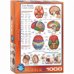 Eurographics 6000-0256 - Das Gehirn , Puzzle, 1.000 Teile von Eurographics