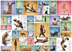 Eurographics 6000-0953 - Yoga Katzen , Puzzle, 1.000 Teile von Eurographics