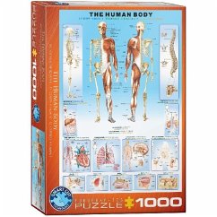 Eurographics 6000-1000 - Der menschliche Körper , Puzzle, 1.000 Teile von Eurographics