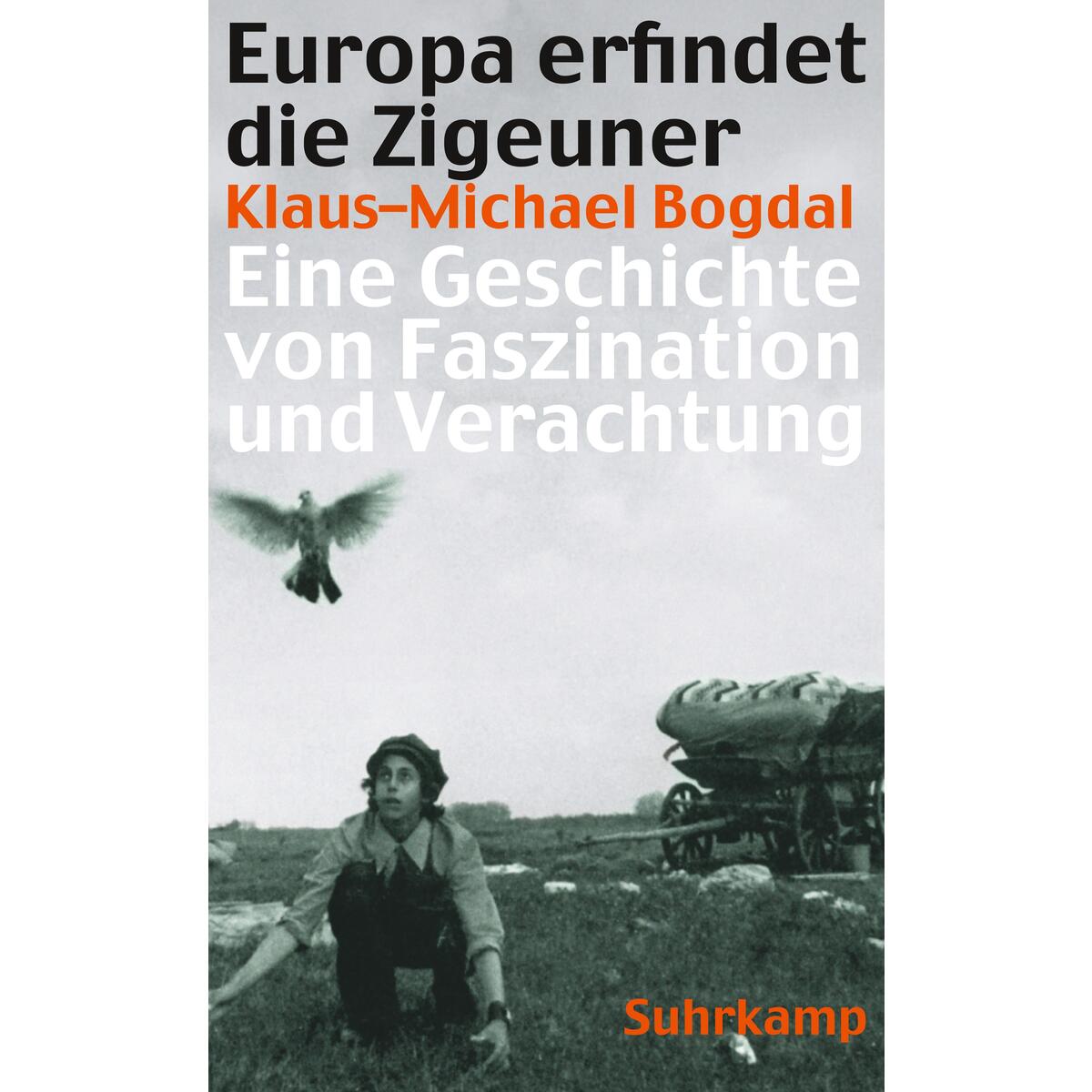Europa erfindet die Zigeuner Europa erfindet die Zigeuner von Suhrkamp Verlag AG