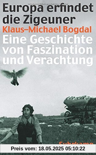 Europa erfindet die Zigeuner: Eine Geschichte von Faszination und Verachtung (suhrkamp taschenbuch)