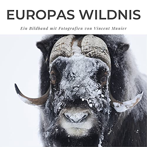 Europas Wildnis: Ein Bildband mit Fotografien von Vincent Munier von 27 Amigos