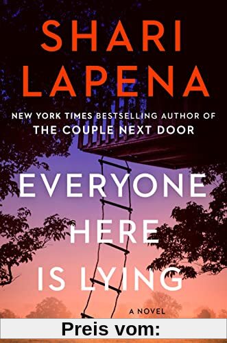 Everyone Here Is Lying: A Novel
