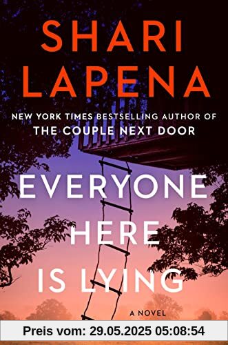 Everyone Here Is Lying: A Novel Everyone Here Is Lying: A Novel