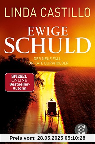 Ewige Schuld (Kate Burkholder ermittelt, Band 9)