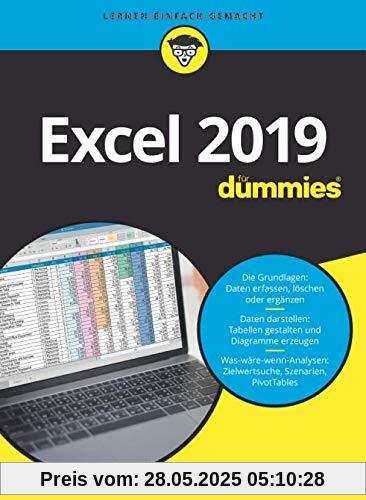 Excel 2019 für Dummies