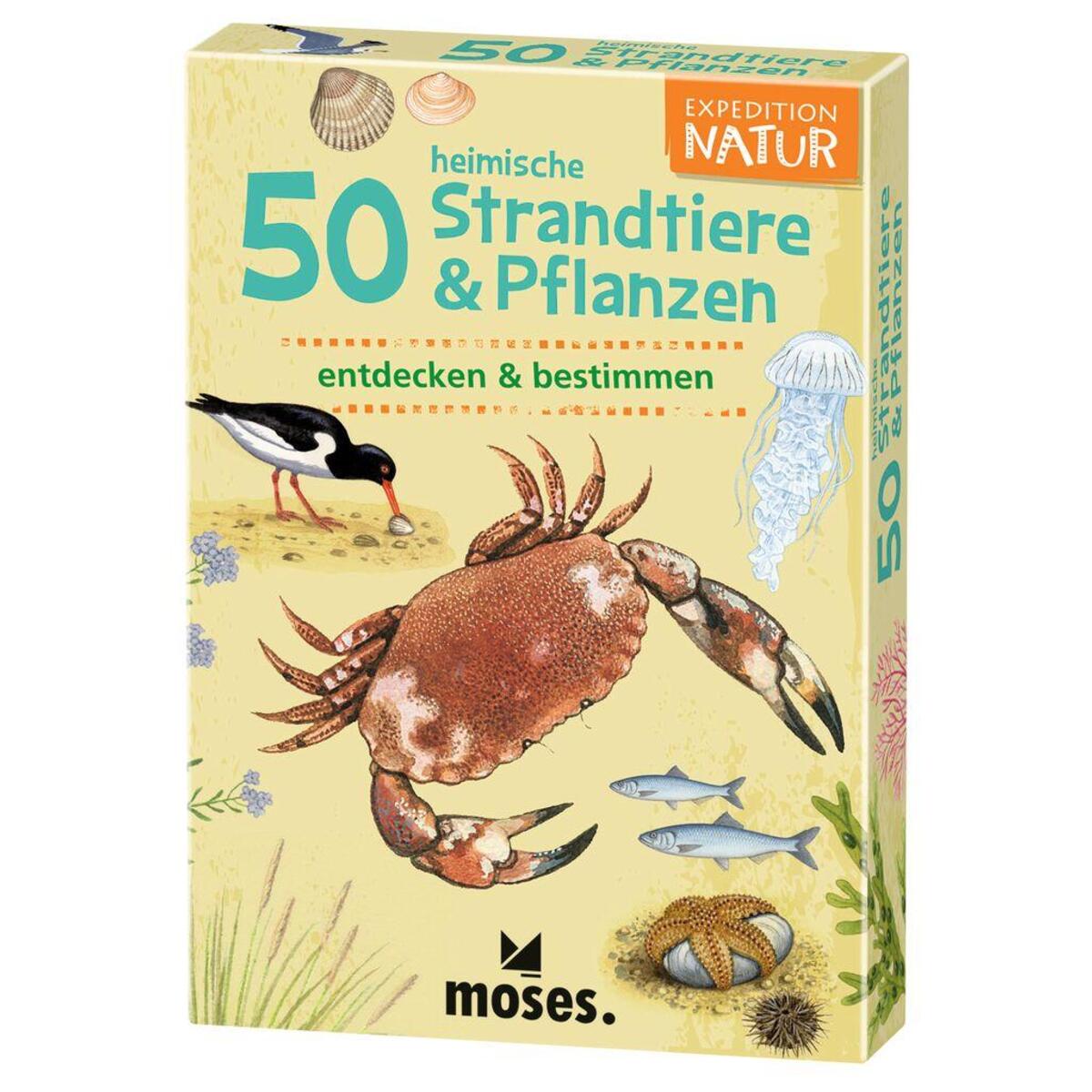 Expedition Natur 50 heim. Strandtiere & Pflanzen Expedition Natur 50 heim. Strandtiere & Pflanzen von Moses. Verlag GmbH