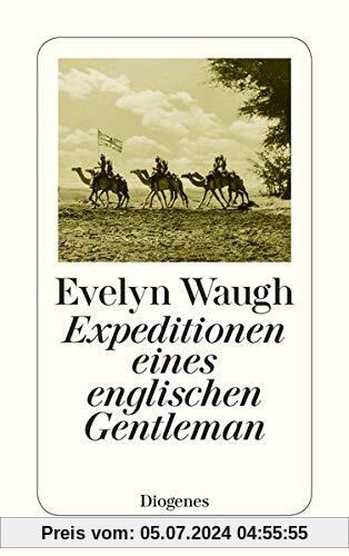 Expeditionen eines englischen Gentleman (detebe)