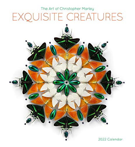 Exquisite Creatures- the Art of Christopher Marley 2022 Wall Calendar von Pomegranate