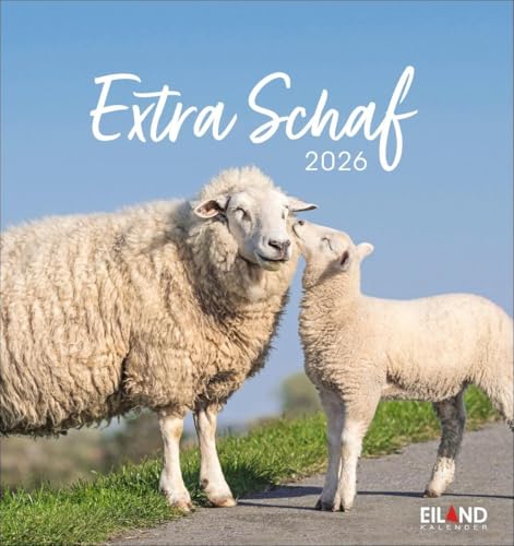 Extra Schaf Postkartenkalender 2026: Ein kleiner Kalender zum Aufstellen und Aufhängen. Süße Schafe in allen Lebenslagen in einem Postkarten-Fotokalender. (Postkartenkalender Eiland) von Eiland