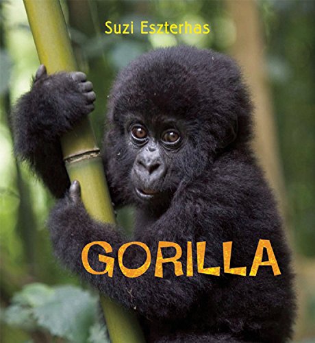 Eye on the Wild: Gorilla