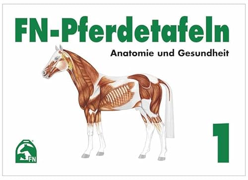 FN-Pferdetafeln Set / FN-Pferdetafeln Set 1: Anatomie und Gesundheit: Enthält Tafel 1 - 13: Fuer Pferde giftige Pflanzen - Lage erkennbarer ... Die Hufe - Der Kreislauf - Die Atmungsorgane